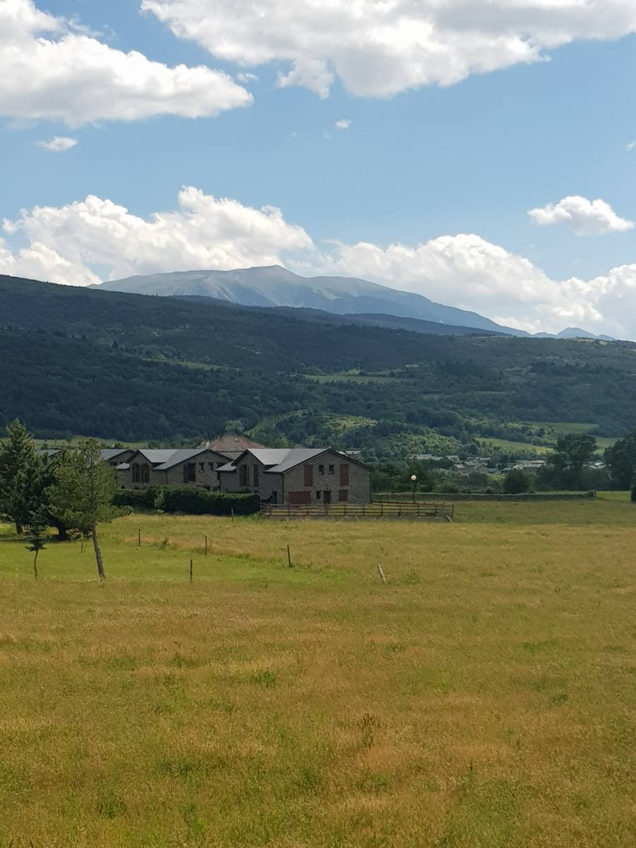 20190622_162146_resized
