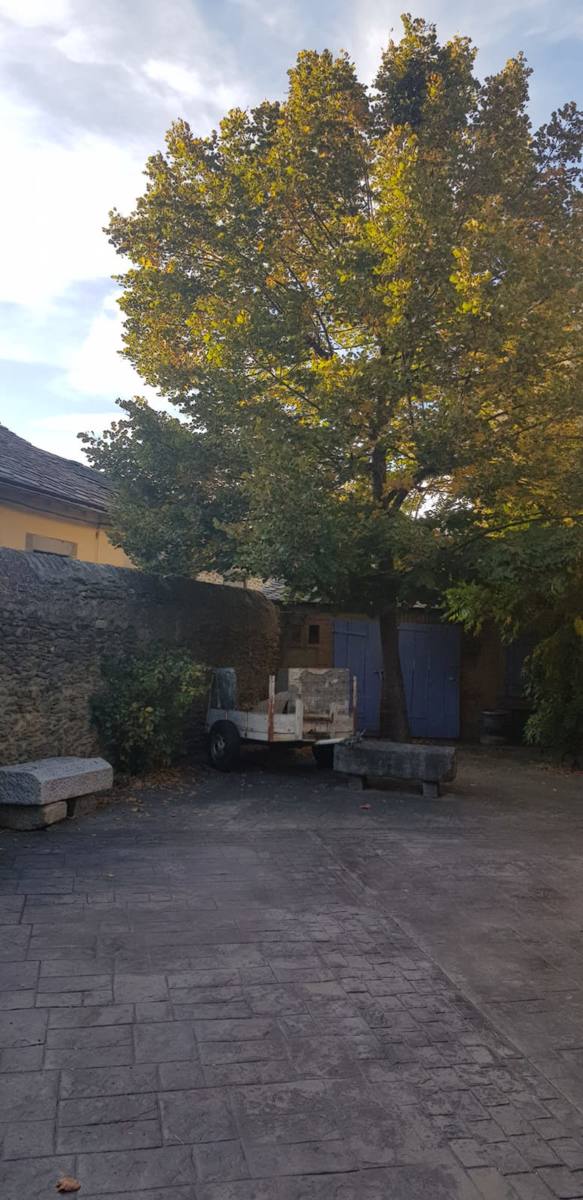 IMG-20191016-WA0098