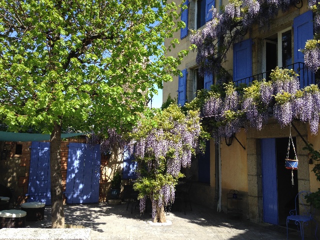 image1